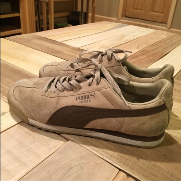 brown puma roma